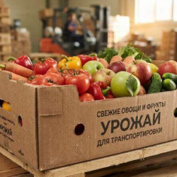 Упаковка для агропрома: как сохранить урожай при транспортировке